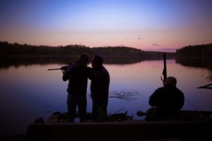 Что делать при встрече с дикими животными на базе отдыха Заветное в Ленинградской области